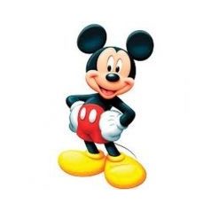 Decorațiune / accesorii